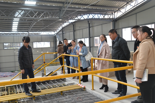 DSC_1558_副本.jpg DSC_1558_副本.jpg